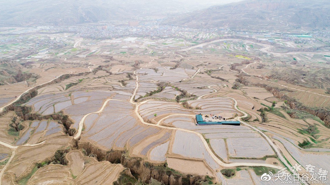 抖音双击秒自助：自助点赞快速获取双击秒赞服务